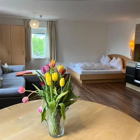 Apartment Rohrbacher Herz Berg bei Rohrbach